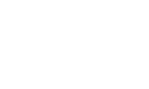 partner - booz allen hamilton