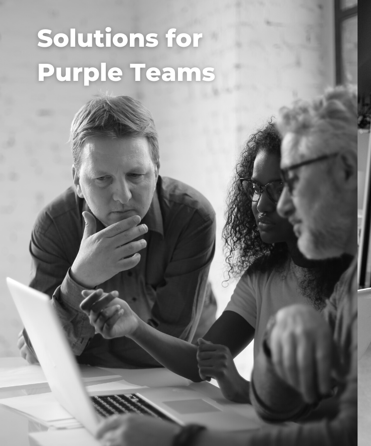 Purple Team Datasheet