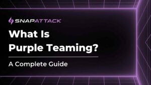 What Is Purple Teaming?